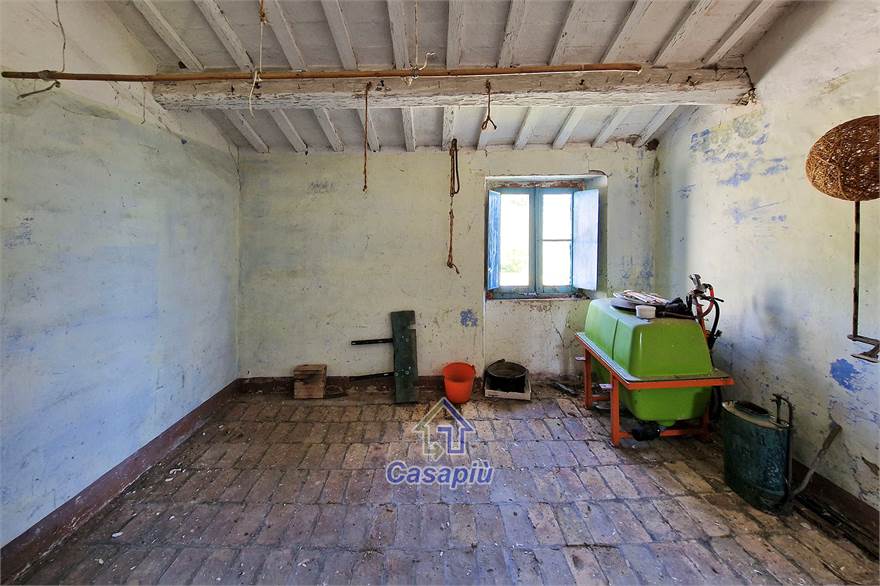 Photo 35