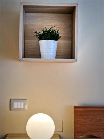 Photo 48